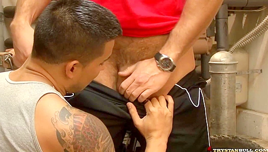 Forbidden Heat: Trystan Bull Hunter Vance Unleash Passion Behind Closed Doors