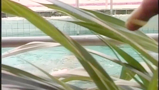 Sun-Drenched Lust: Martin Daniels Steamy Poolside Encounter – FalconStudios 18+