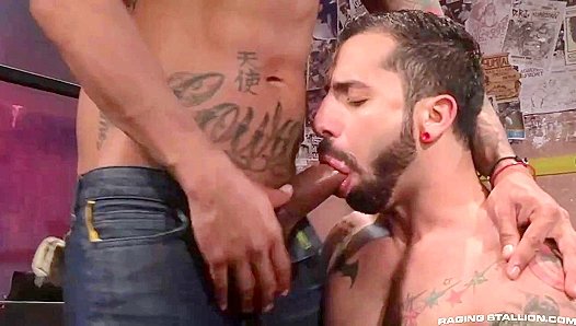 Hard Bodies Clash: Nick Cross Boomer Banks Ignite Passion – Hot Gay Sex Scene