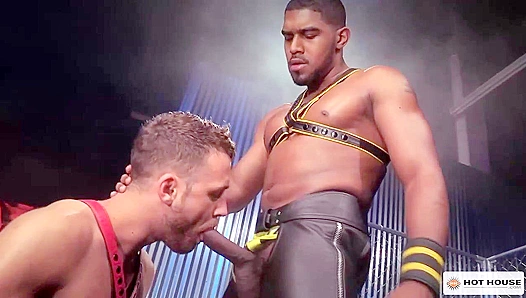 Logan Moore Swallows Massive Cock: Hot Steamy Sex Action – XL Gay Porn 18+