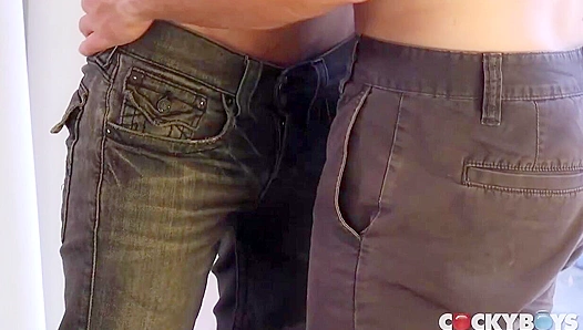 Danny Rides Hard, Takes Every Inch Deep from GQ Stud Gabriel — CockyBoys 18+