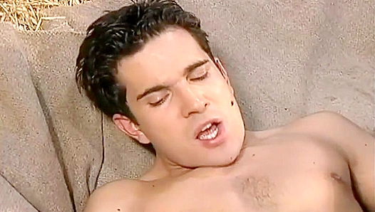 Stefan Falcons Hottest Twinks Go Wild — Hayloft Anal Fever! – 18+