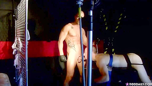 Rod Daily Cant Get Enough: Hot Nights with Stallion-Cocked Cody Allen – 18+