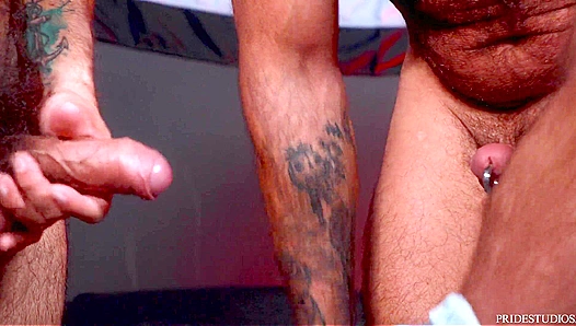 Beastly Bear Fuck: Raw Power, Deep Thrusts Guttural Pleasure – GayPornX