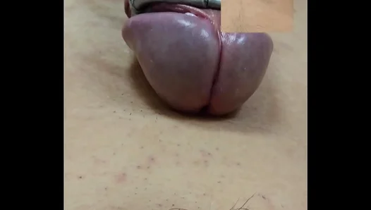 Hands-Free Ecstasy: Amateur Guy Climbs High With Pulsating Toy Pleasure – 18+