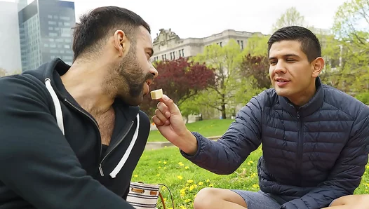 Stepsons Secret Picnic Tryst Turns Hot With Stepmom Stepdad – 18+