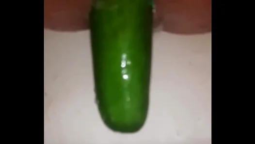 Cucumber Fun: Steamy Gay Solo Anal Adventure –XXX Pleasure