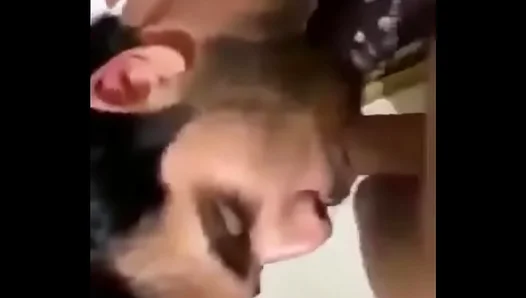 Seductive Slav Takes Control with Busty Blowjob Action – NaughtyLads 18+