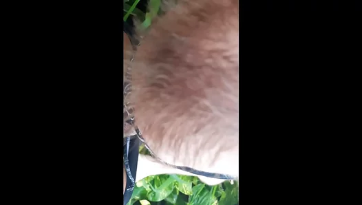 Sandy Blowjob Ecstasy: Gringo Swallows Big Dick With Skill – AmateurGayFun 18+