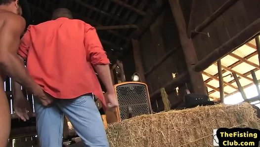 Huge Buff Stud Fists Deep Throats Hung Farmboy — Raw Gay Action