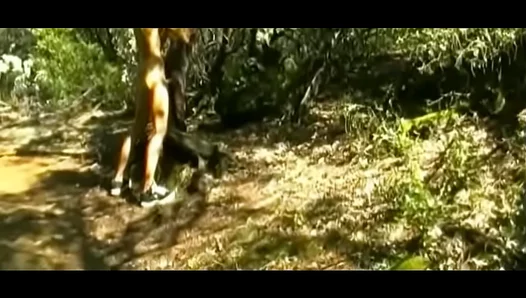 Eager Young Bottom Moans Loud Jilling Off Outdoors – 18+