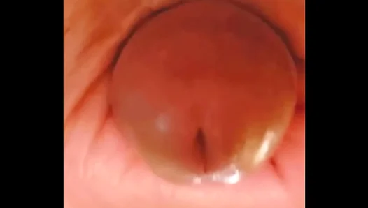 Sensual Cockhead Obsession: Intense Amateur Blowjob Action – 18+