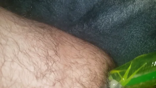 Hairy Amateur Loses Control with Massive Dildo in Hot DIY Anal Session – XXX