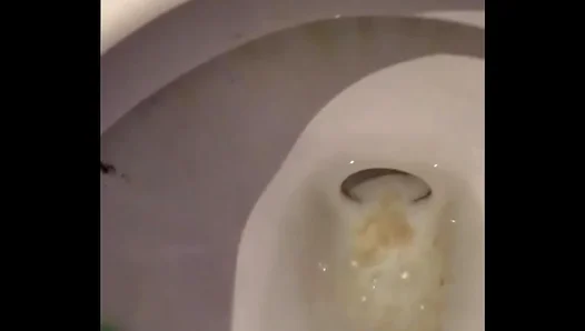 Cum Drips from My Ass as I Jack Off in the Bathroom Stall – HotSoloGay 18+