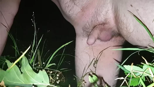 Midnight Thrills: Hot Guys Dive into Wild Outdoor Watersports Action – 18+