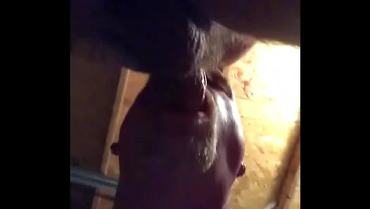 Raw Bareback Heat: Hot Amateur Twink Gets Pounded in Hidden Garage Sex – 18+