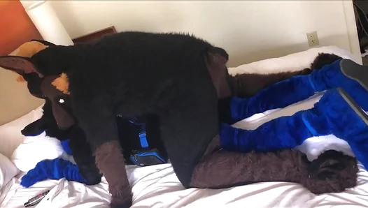 Kairo Murr Gets Rough in Furry Doggy Style Ride – 18+