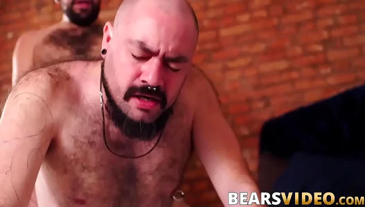 Tony Rivers Dominates Bear Silien in Wild, Uninhibited Gay Action – Hardcore Fuck Session