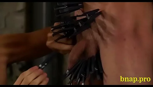 Begging for More: Hot Dom Delivers Hardcore BDSM Thrills – GayPornX 18+