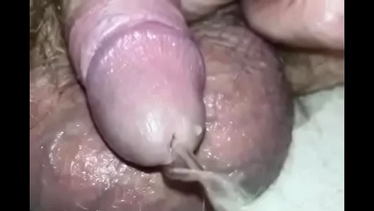 Tiny Dick, Big Mess: Up-Close Piss Play Action – CloseUpGayAction 18+