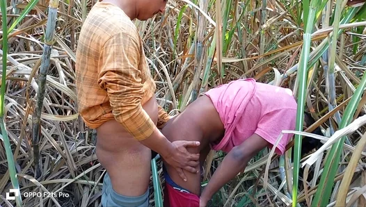 Three Wild Farmhands Pleasure One Beauty Outdoors – NaughtyVillageX 18+