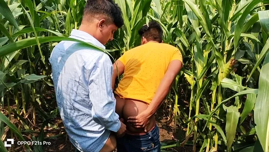 Young Jock Tempts Mature Prof Amid Waves of Golden Wheat – CollegeCrush 18+