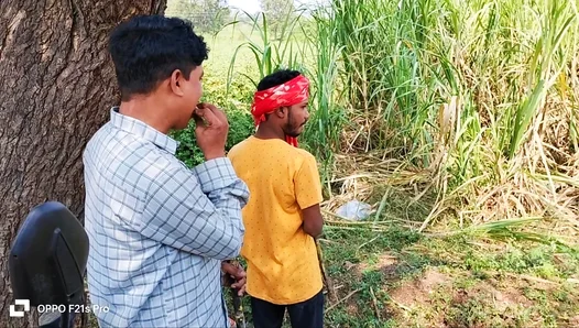 Farmer Takes City Boy Deep in Steamy Sugarcane Rendezvous – Hot Indo Gay Action