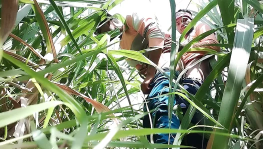 Hidden Lust in the Wheatfields: Steamy Desi Men Explore Forbidden Pleasure – GayHindiHeat