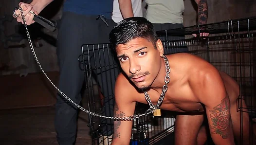 Frat Initiation Madness — Trapped Craving Rougher Anal Action – 18+