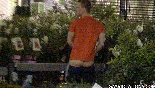 Steamy Garden Tryst: Hot Twink-on-Twink Action Under the Sun – GayRoom