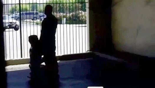 Steamy Encounter: Hidden Parkade BJ Fun Between Two Men – Gay XXX