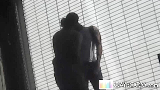 Passion Unleashed: Steamy Hookup in the Park Lights Up Night – GayRoom 18+