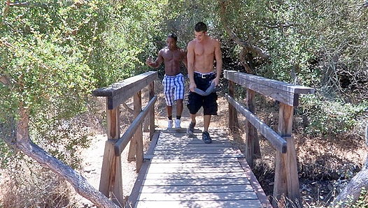 Bareback Heat: Aiden Landon Takes Wild Ride No Condo – GayPorno Hub 18+
