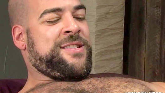 Hairy Stud Claims Whats Mine: Raw Lust Between Two Massive Bears – TinyGays 18+