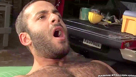 Jason Toms Hung Bear Fever — Deep, Rough Anal Ride – RagingStallion